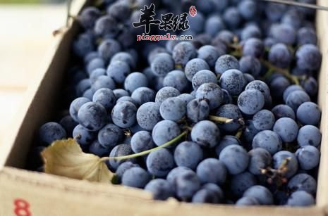 浅谈基于风险控制的项目工程的管理-hth·华体(图1) hth华体官方下载app