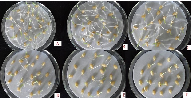 论文 写作 word排版技巧‘hth华体官方下载app’(图2) hth·华体