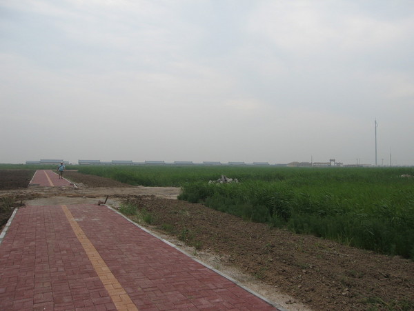 500强公号一半用过音频!40元一篇配音背后的千亿生意-hth华体(图1) hth华体