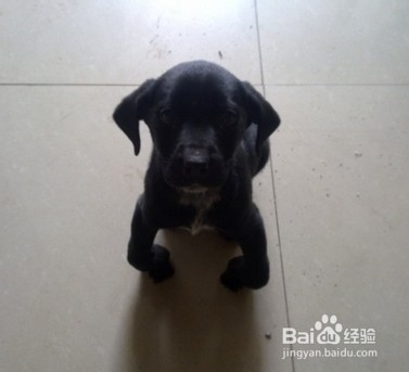 hth华体官方下载app