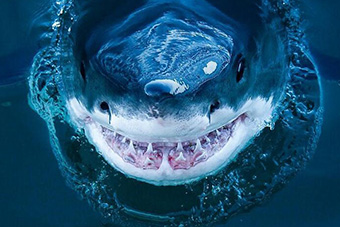 hth华体官方下载app