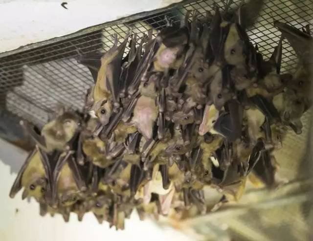 hth华体-桃源篇(图1) hth华体