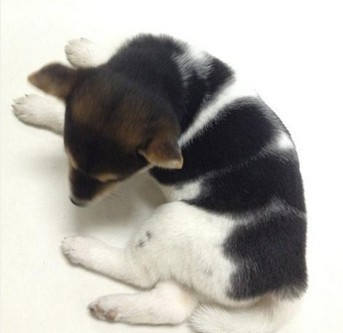 hth华体官方下载app_浅谈有效备好高中信息技术课的重要性(图3) hth华体官方下载app