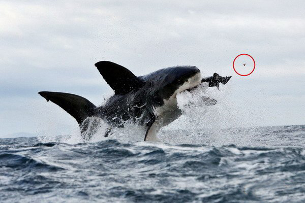 hth华体官方下载app_浅谈有效备好高中信息技术课的重要性(图2) hth华体