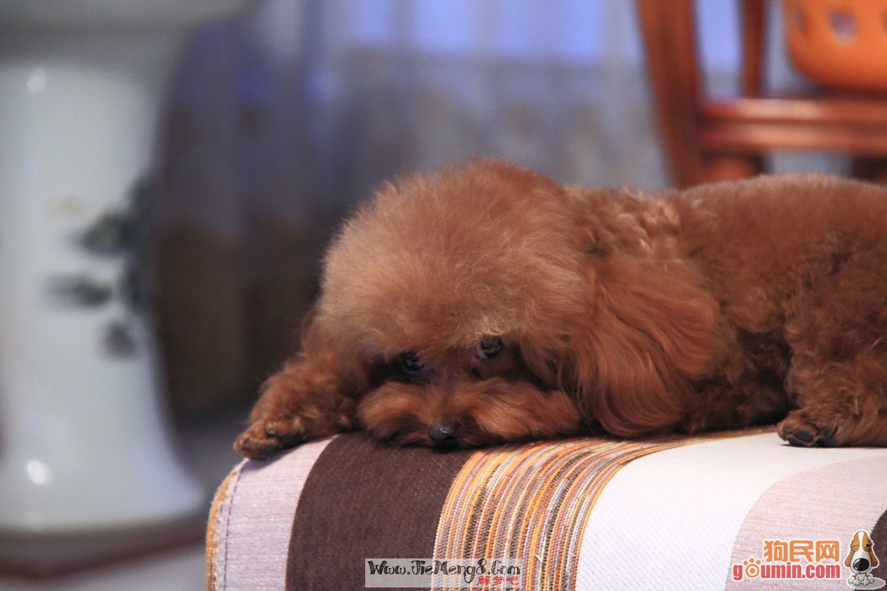 hth·华体|揭秘挂机赚钱骗局(图1) hth华体官方下载app