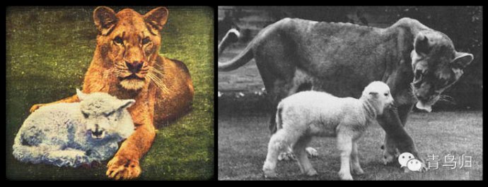 hth华体官方下载app