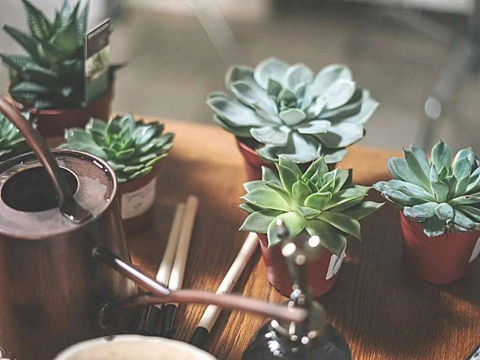 hth·华体-
院校剖析(图2) hth·华体-
院校剖析(图2)