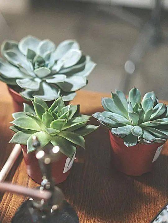 hth·华体-
院校剖析(图5) hth·华体-
院校剖析(图5)