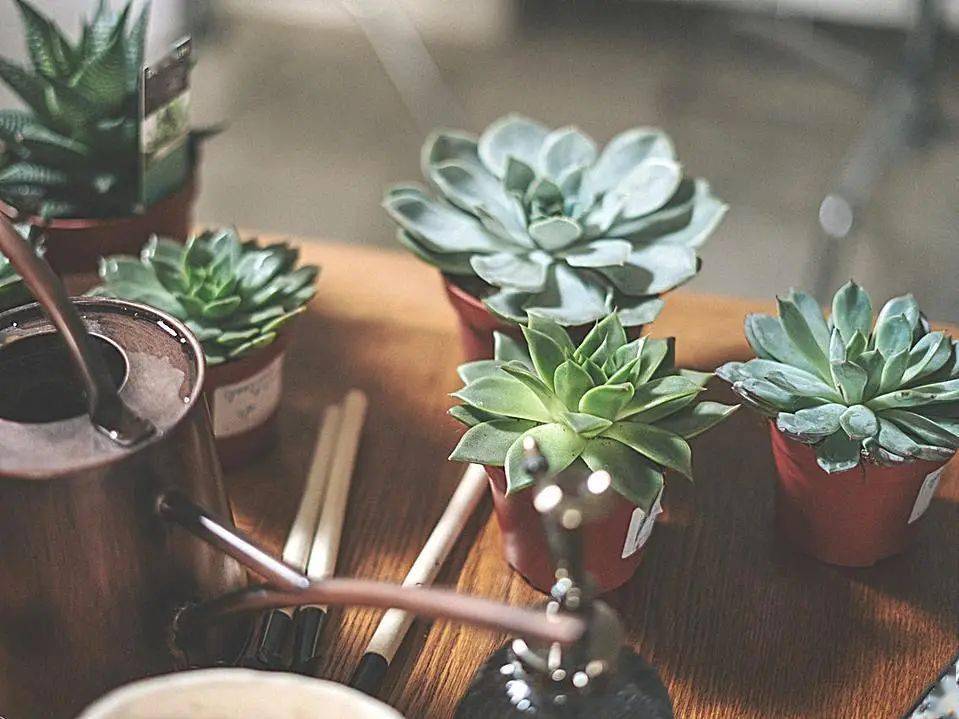 hth·华体-
院校剖析(图6) hth·华体-
院校剖析(图6)