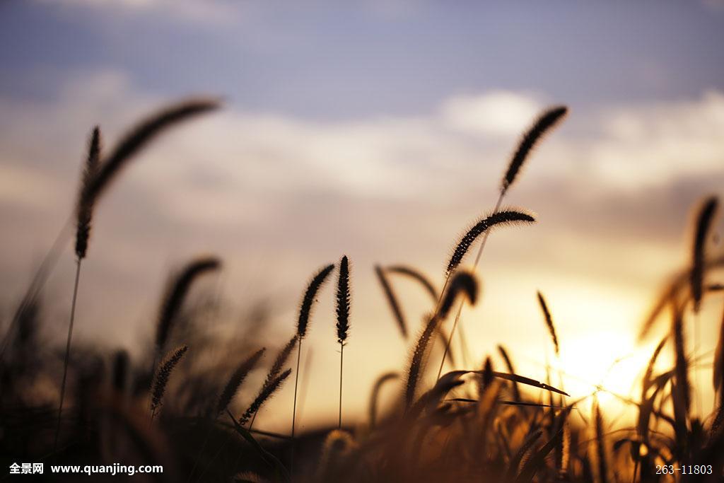 想让别人记着你,你需要一个slogan_hth·华体(图1) hth华体官方下载app