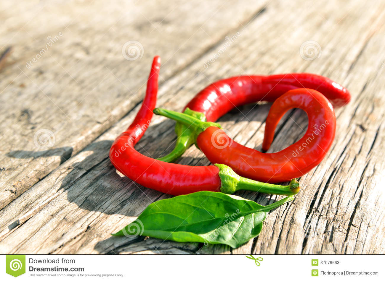 hth·华体|
成都大学直属助学点!照顾护士学专业报名!(图1) hth华体