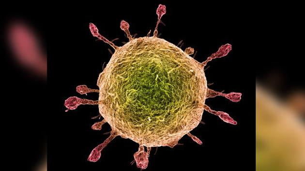 关于反腐败过程中网络媒体监督之现状研究“hth·华体”(图1) hth·华体