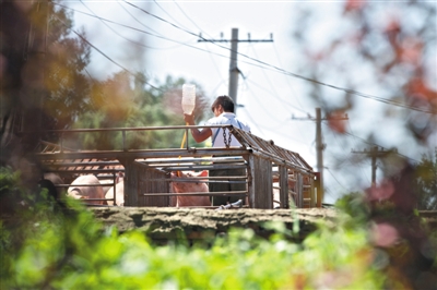 传统企业与电子商务【hth华体】(图2) hth华体