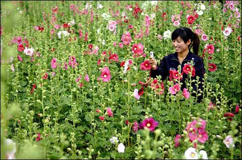 划拨及作价出资土地使用权抵押实务浅析-hth华体(图2) hth华体官方下载app