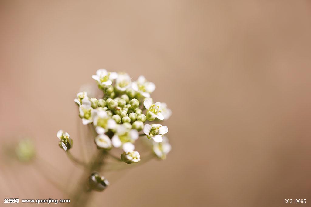 程序化购买的世界,有那么一群“偏执狂”‘hth·华体’(图2) hth·华体