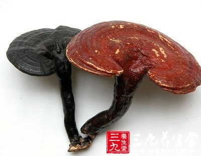 【hth华体】揭开“剧王”《离婚律师》热播背后的那层纱(图1) hth华体