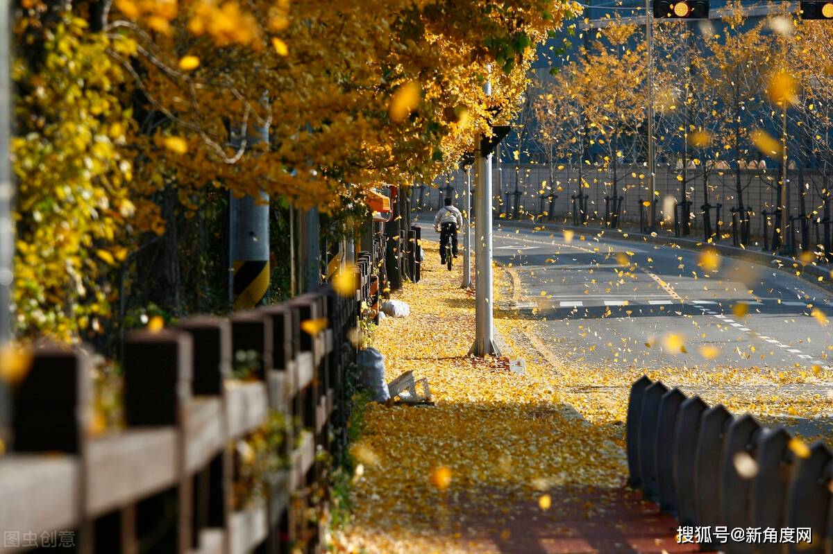 hth·华体-
如何降低结业论文查重率？(图5)