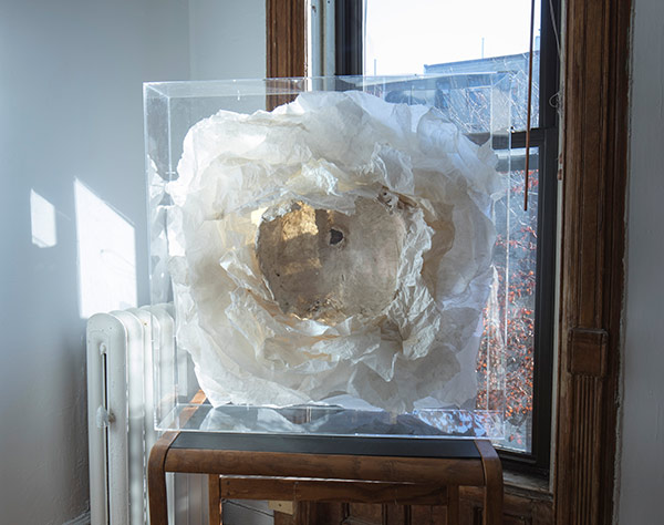 hth华体官方下载app