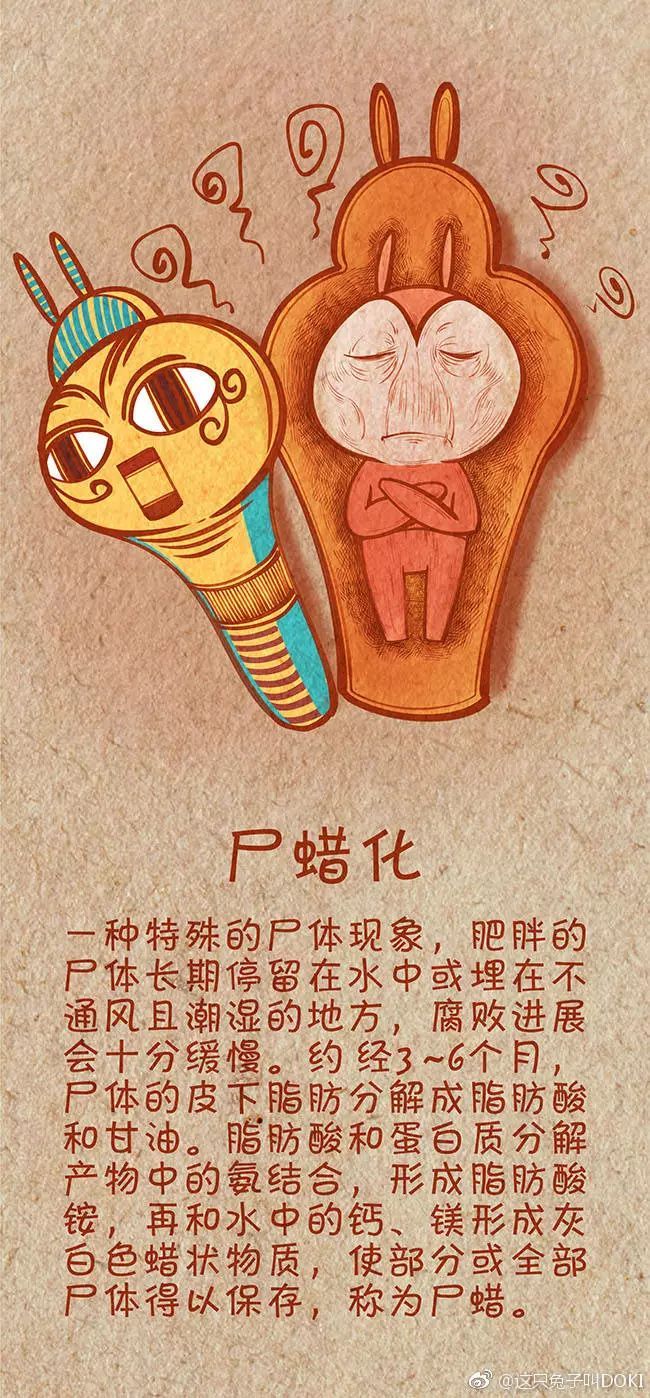 hth华体官方下载app