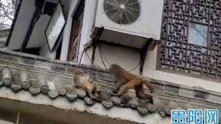 新农村建设中农村合作经济的作用:hth华体官方下载app(图2) hth华体