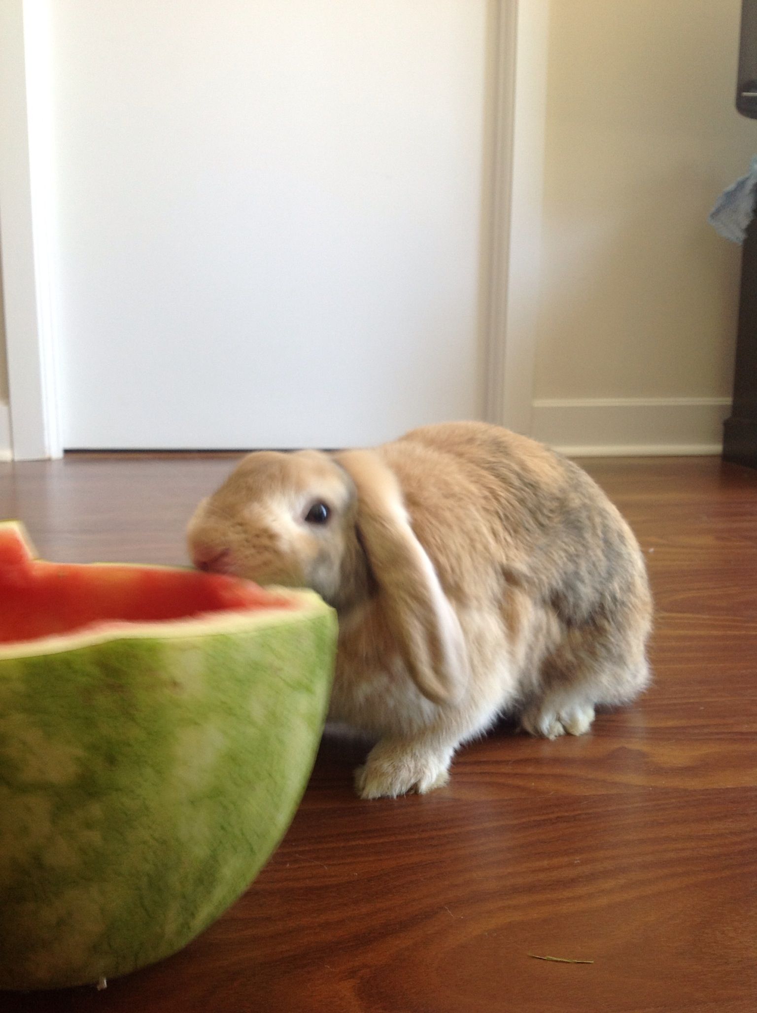 浅谈建筑经济和住宅的产业化问题“hth华体”(图2) hth华体官方下载app