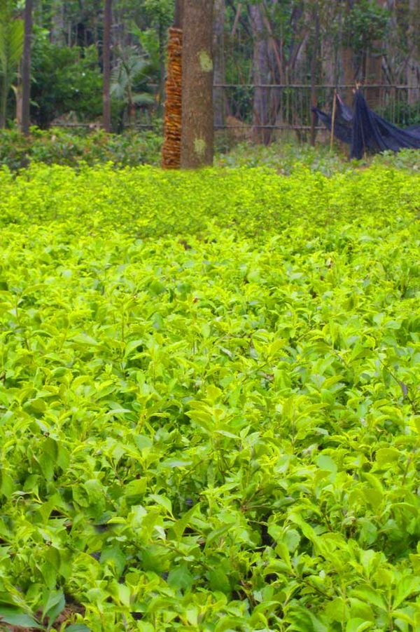 奉送户部李郎中充晋国副节度出塞:hth·华体(图2) hth·华体