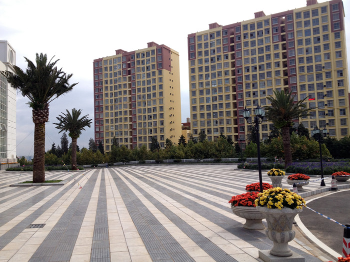 hth华体官方下载app