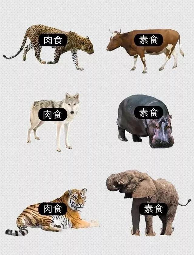 【hth·华体】桃源篇(图3) hth华体官方下载app