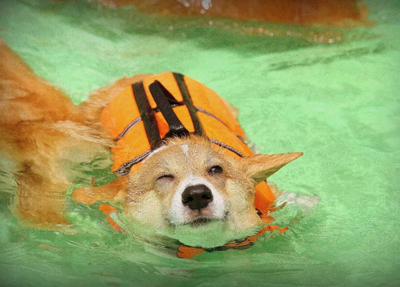 hth华体官方下载app