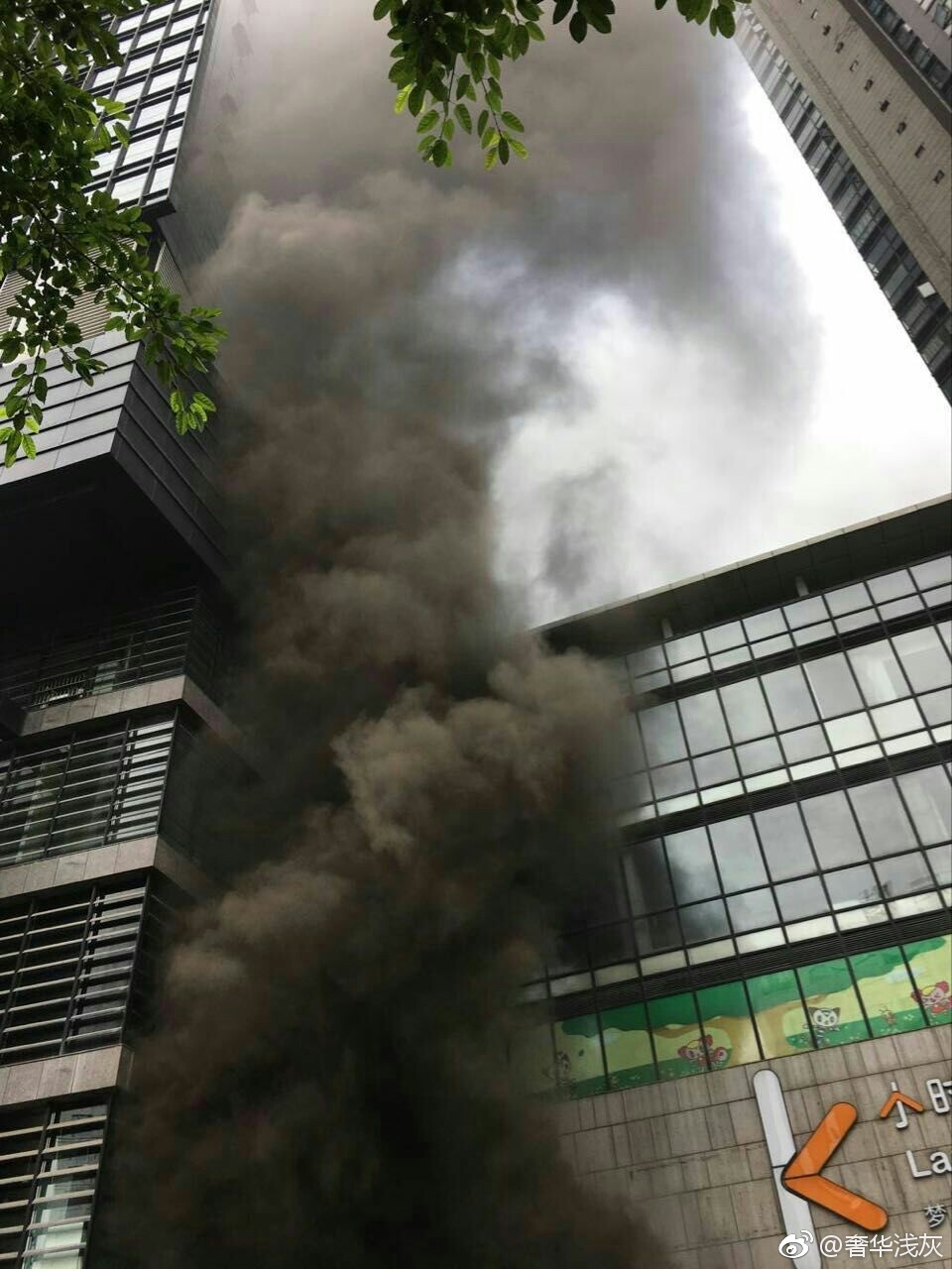 hth华体官方下载app