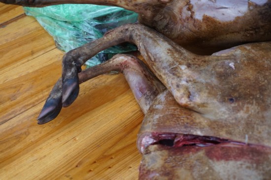 hth华体官方下载app