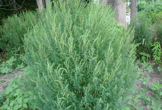 hth华体官方下载app