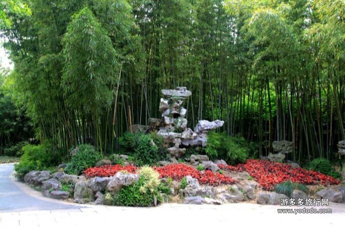 hth华体官方下载app