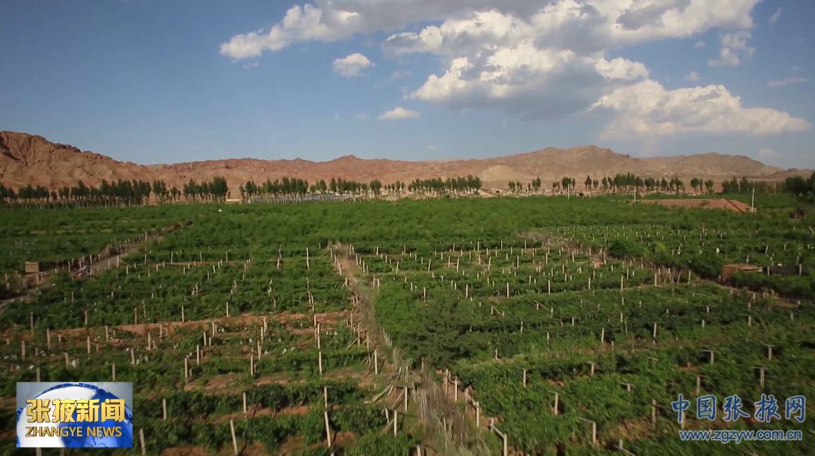 hth华体官方下载app