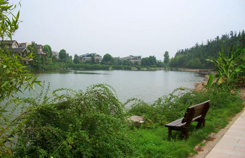 hth华体